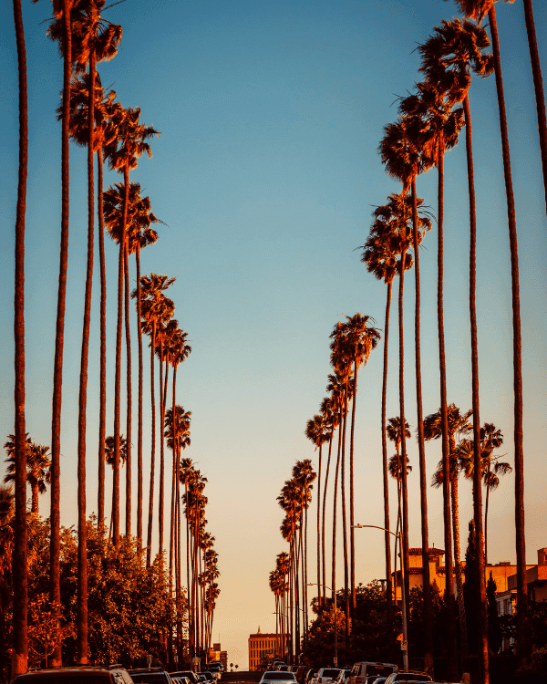 Los Angeles Gymnastics Centers