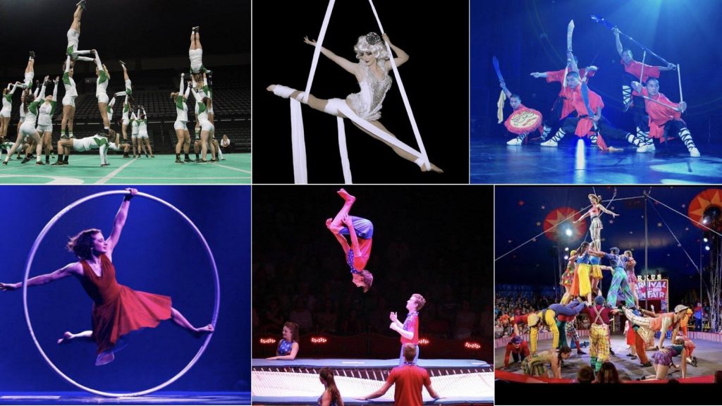 Collage of diverse acrobatic disciplines: Tumbling, Aerial Silk, Martial Arts, Cyr Wheel, Trampoline, Circus Acrobatics